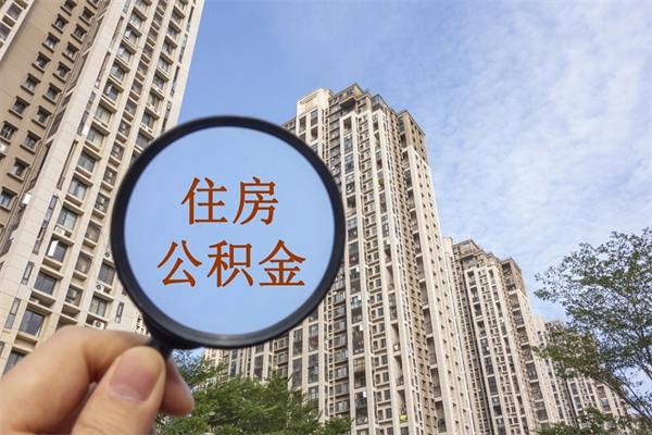 洛阳代取取住房公积金（代取住房公积金需要什么手续）